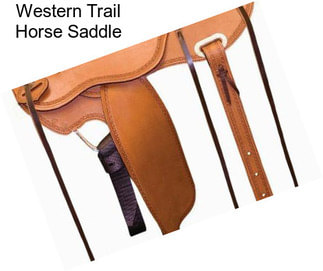 Western Trail Horse Saddle