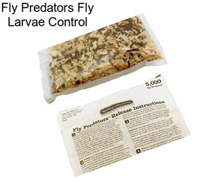 Fly Predators Fly Larvae Control