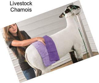 Livestock Chamois