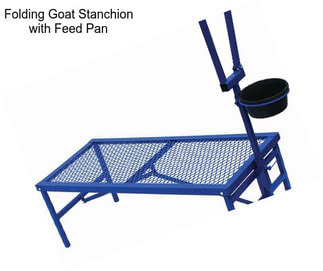 Folding Goat Stanchion with Feed Pan
