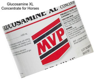 Glucosamine XL Concentrate for Horses