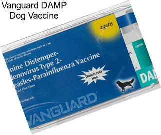 Vanguard DAMP Dog Vaccine