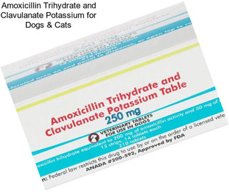 Amoxicillin Trihydrate and Clavulanate Potassium for Dogs & Cats