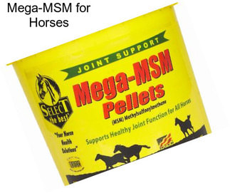 Mega-MSM for Horses