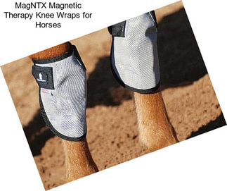 MagNTX Magnetic Therapy Knee Wraps for Horses