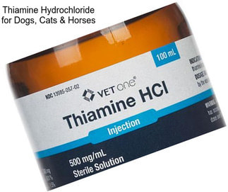 Thiamine Hydrochloride for Dogs, Cats & Horses