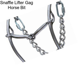 Snaffle Lifter Gag Horse Bit