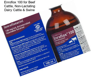 Enroflox 100 for Beef Cattle, Non-Lactating Dairy Cattle & Swine