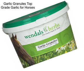 Garlic Granules Top Grade Garlic for Horses