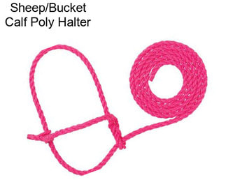 Sheep/Bucket Calf Poly Halter