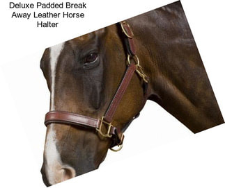 Deluxe Padded Break Away Leather Horse Halter