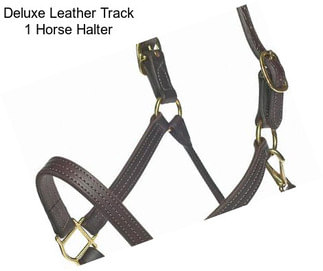 Deluxe Leather Track 1\