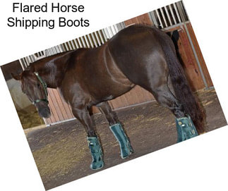 Flared Horse Shipping Boots