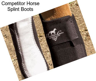 Competitor Horse Splint Boots