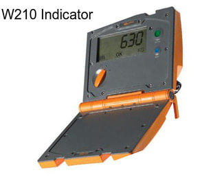 W210 Indicator