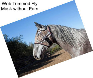 Web Trimmed Fly Mask without Ears