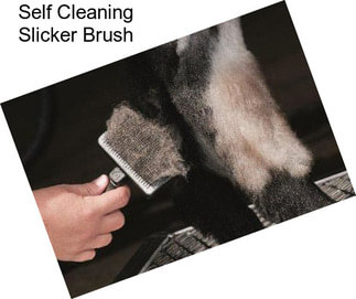 Self Cleaning Slicker Brush