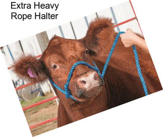 Extra Heavy Rope Halter