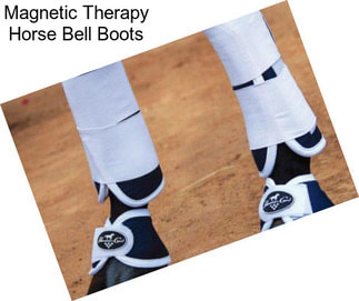 Magnetic Therapy Horse Bell Boots