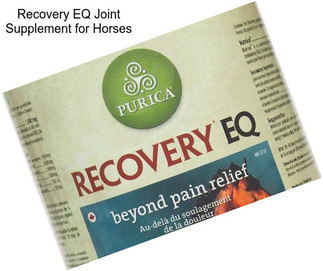 Recovery EQ Joint Supplement for Horses