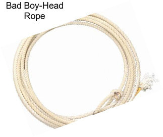 Bad Boy-Head Rope