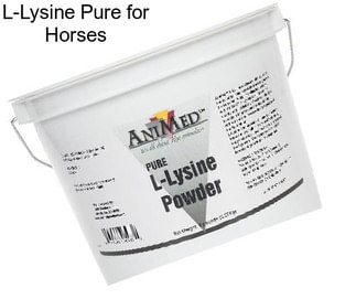 L-Lysine Pure for Horses