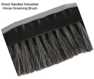 Wood Handled Horsehair Horse Grooming Brush