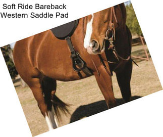 Soft Ride Bareback Western Saddle Pad