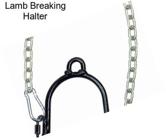 Lamb Breaking Halter