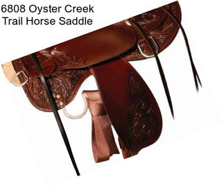 6808 Oyster Creek Trail Horse Saddle