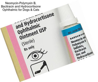 Neomycin-Polymyxin B, Bacitracin and Hydrocortisone Ophthalmic for Dogs & Cats