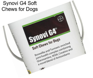 Synovi G4 Soft Chews for Dogs