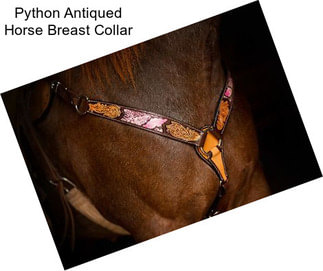 Python Antiqued Horse Breast Collar