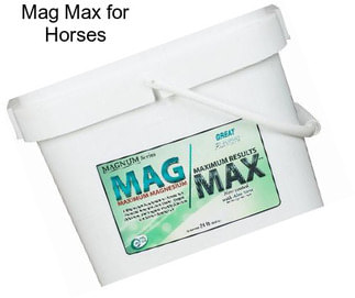 Mag Max for Horses