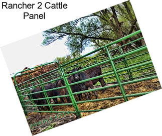 Rancher 2\