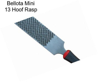 Bellota Mini 13\