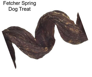 Fetcher Spring Dog Treat