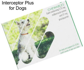 Interceptor Plus for Dogs