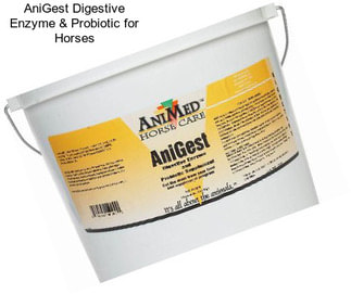 AniGest Digestive Enzyme & Probiotic for Horses