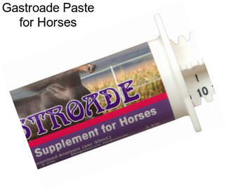 Gastroade Paste for Horses