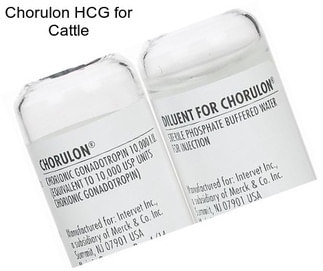 Chorulon HCG for Cattle