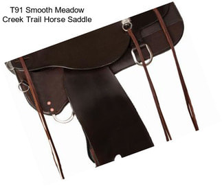 T91 Smooth Meadow Creek Trail Horse Saddle