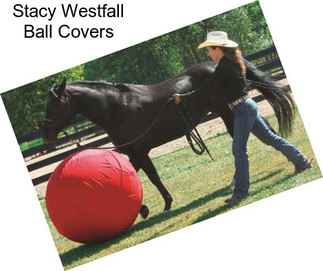 Stacy Westfall Ball Covers