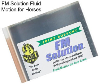 FM Solution Fluid Motion for Horses