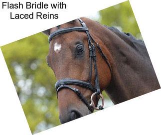 Flash Bridle with Laced Reins