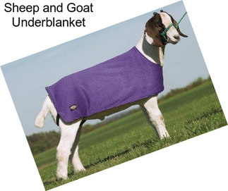 Sheep and Goat Underblanket