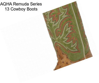 AQHA Remuda Series 13\