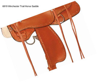 6819 Winchester Trail Horse Saddle