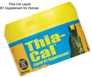 Thia-Cal Liquid B1 Supplement for Horses