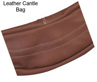 Leather Cantle Bag